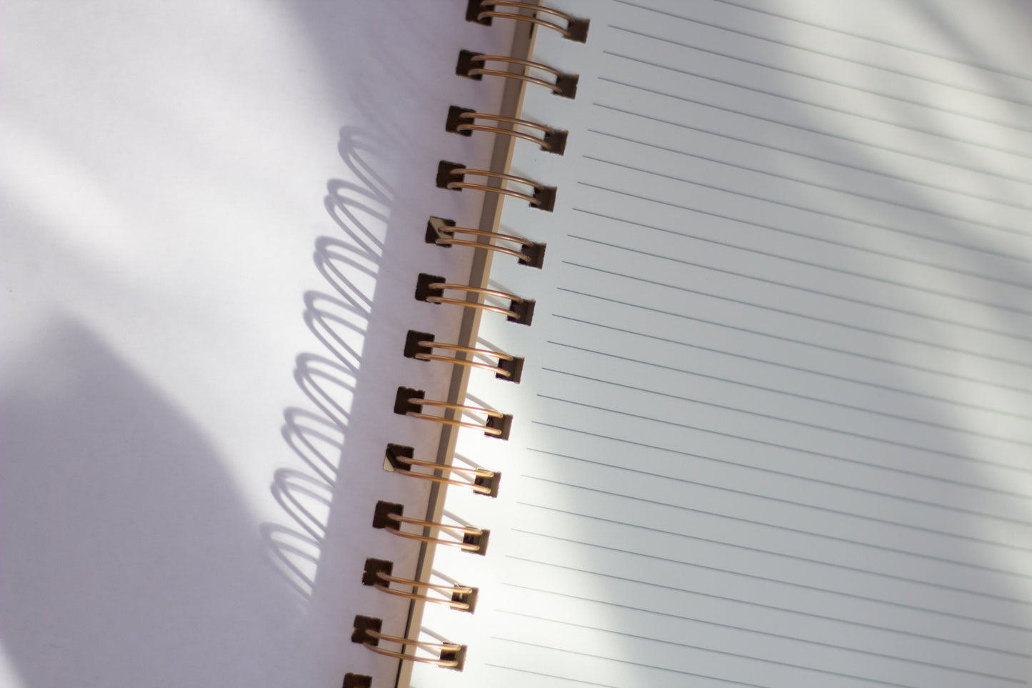 Pink Bow Lined Notebook