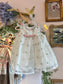 Rare Editions White Floral Dress ~ 6-9mo